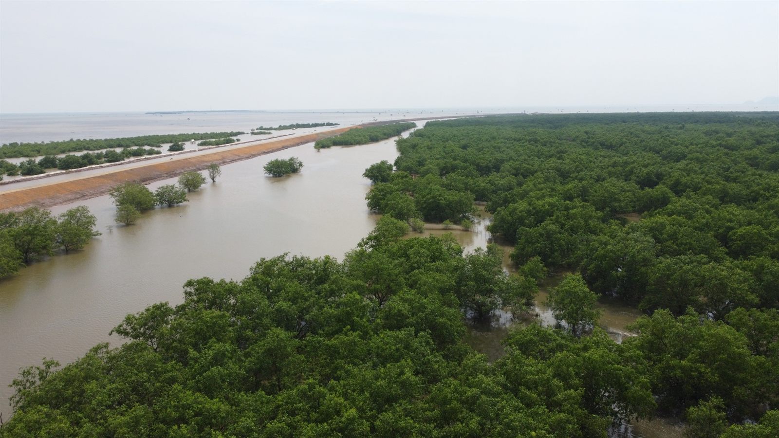 Bãi biển Cồn Nổi, Ninh Bình