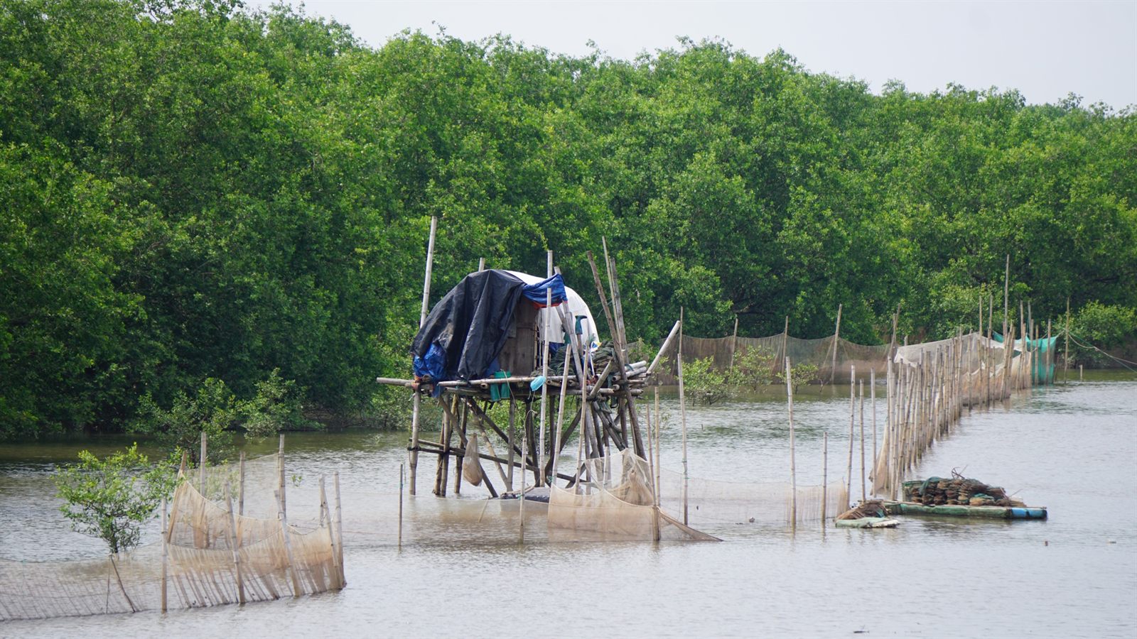 Bãi biển Cồn Nổi, Ninh Bình
