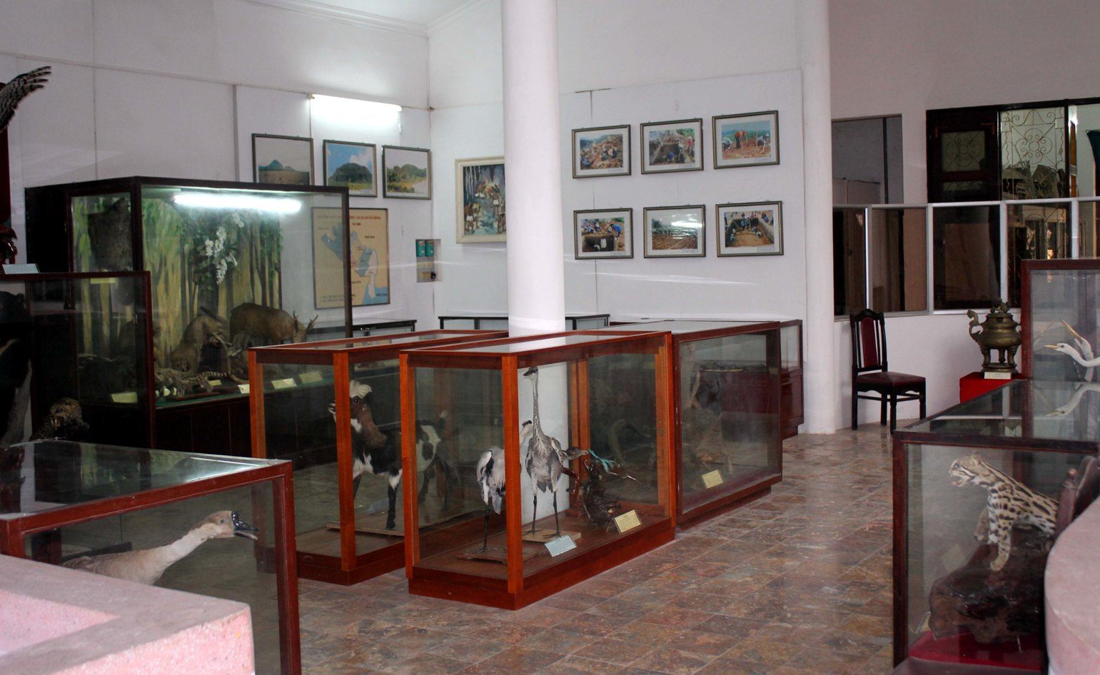 Bảo tàng Ninh Bình, Ninh Bình