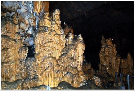 động Vân Trình, Ninh Bình
