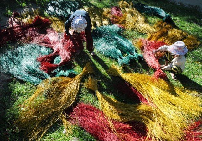 Vùng Kim Sơn (Phát Diệm – làng nghề cói – biển), Ninh Bình