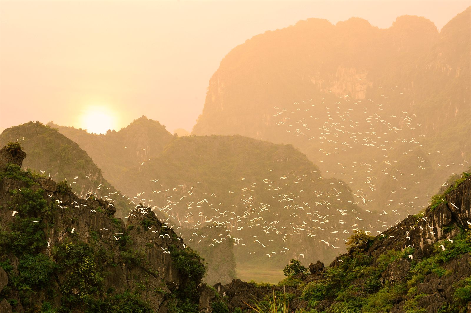 Thung Nham, Ninh Bình