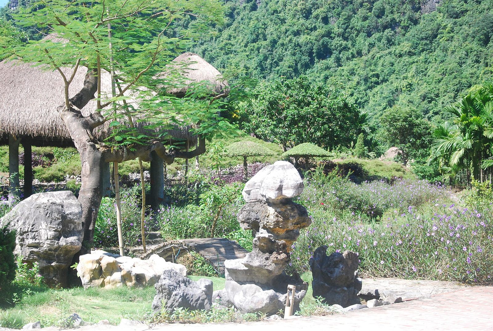 Thung Nham — Phong cảnh Khu du lịch sinh thái Thung Nham ở Ninh Bình