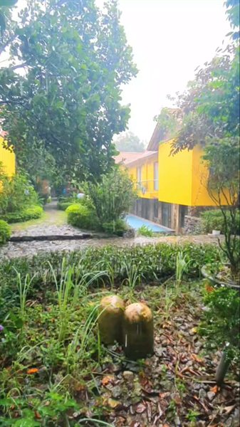 Khuôn viên vườn và dãy nhà vàng cạnh bể bơi — Tràng An La Casa Homestay